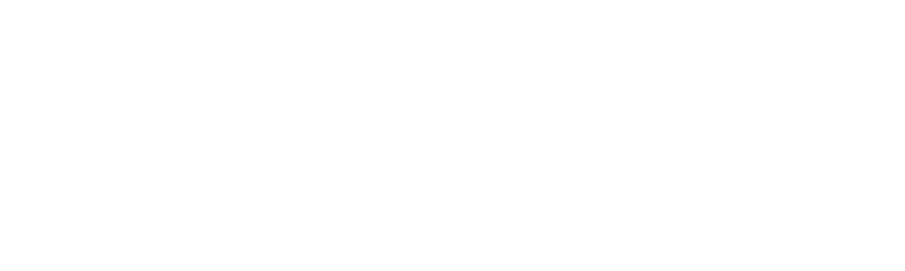 Holdfast: Nations At War